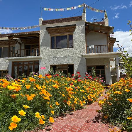 Hotel Chakzot Garden House à Leh Extérieur photo